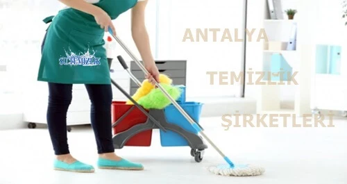 Temizlik şirketleri ne iş yaparlar Su Temizlik