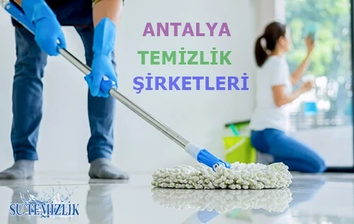 Uzman temizlik şirketleriyle çalışmak Su Temizlik